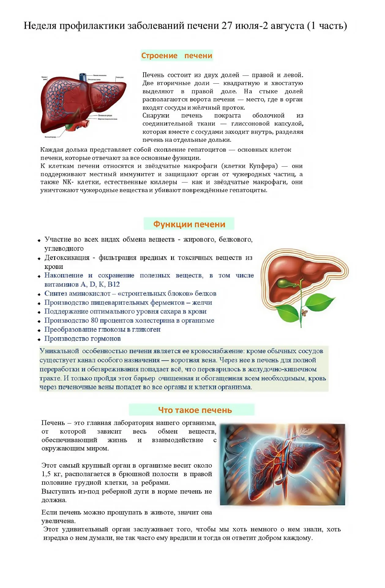 Неделя профилактики заболеваний печени👆