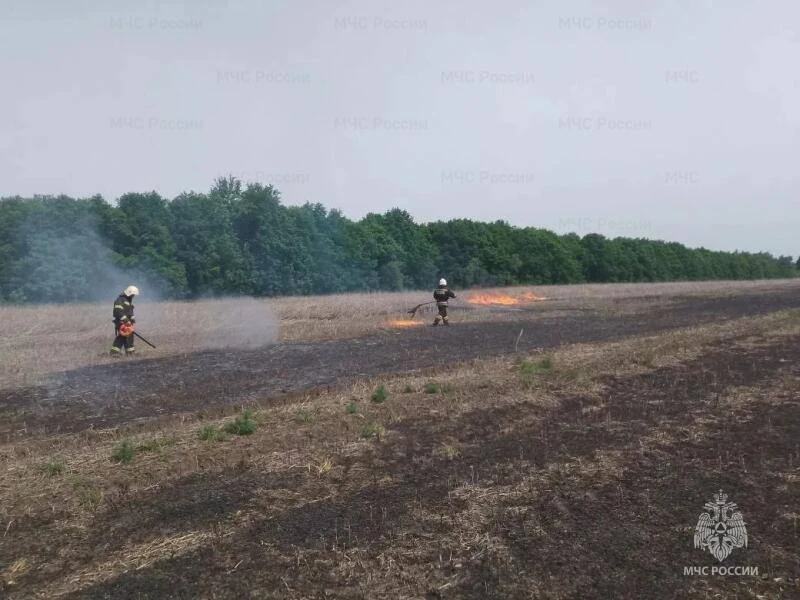 ❗️В Верховском районе подтвердились 2 термоточки, как горение сухой травы   За прошедшие сутки орлов