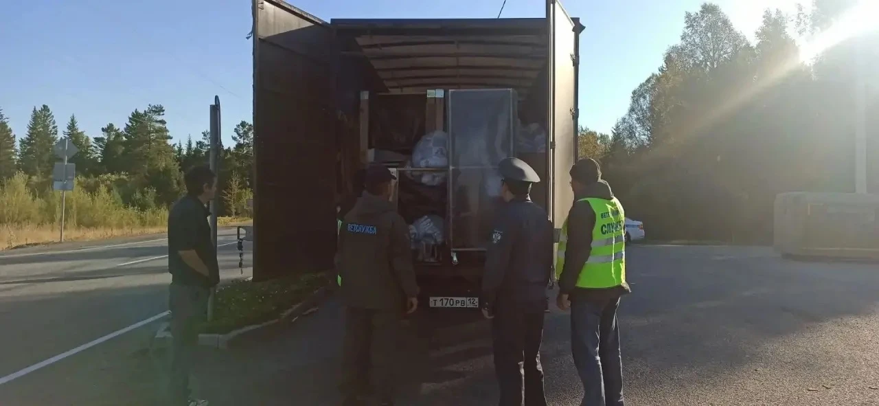 В Бурятии усилили контроль за ввозом скота из‑за угрозы узелкового дерматита
