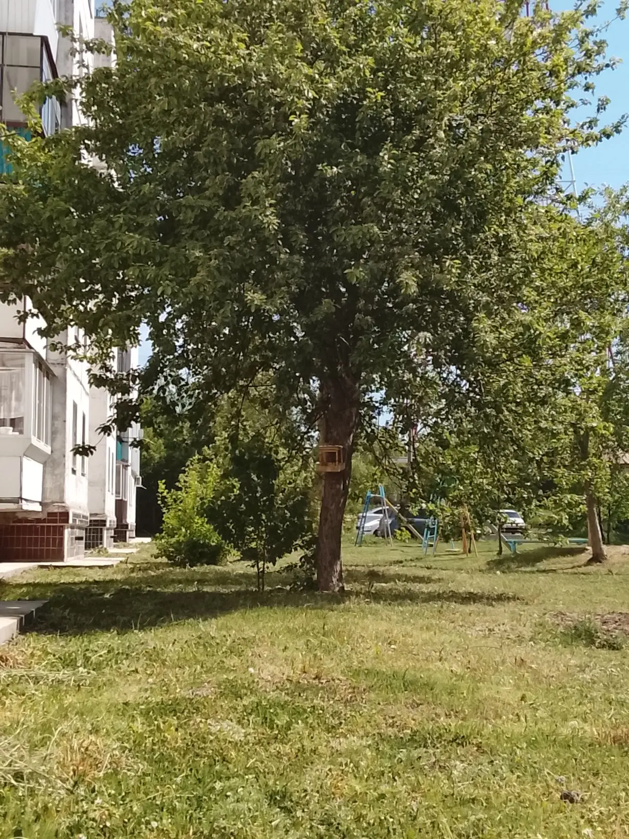 КОМФОРТные НОВОСТИ