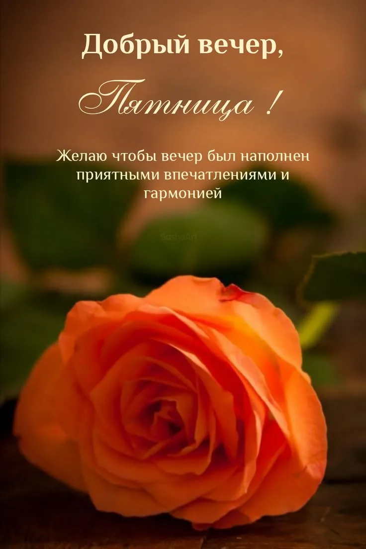 https://max.ru/invista123456
