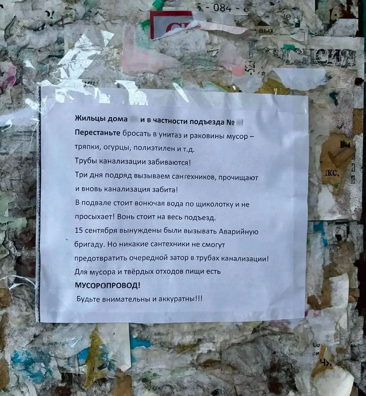На фото - реальное объявление в одном из многоквартирных домов нашего города. Жильцы ус...