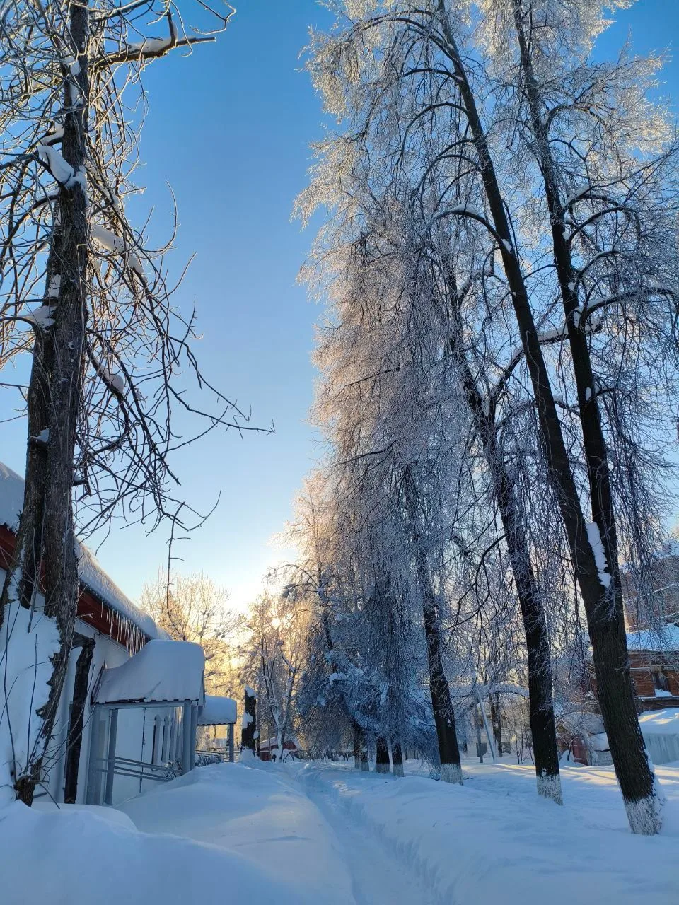 ❄Зима — это удивительное время года, когда природа преображается под снежным одеялом, а...