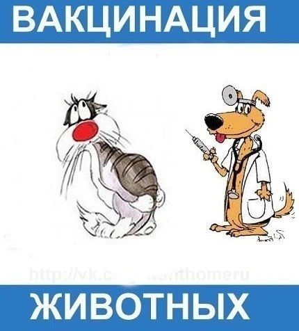ОБЪЯВЛЕНИЕ!
