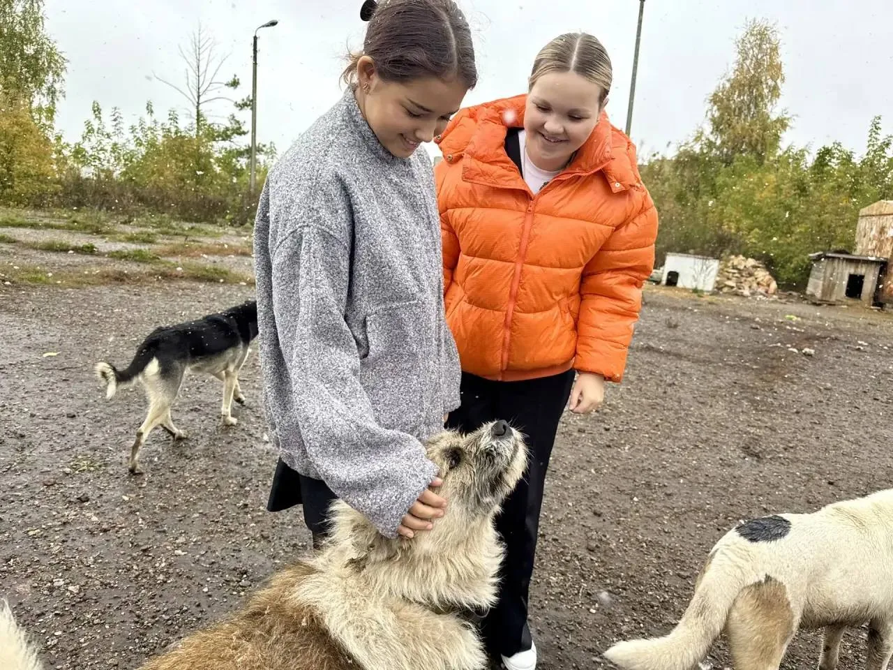 🐾 Весь корм для приюта «Джульбарс» доставлен