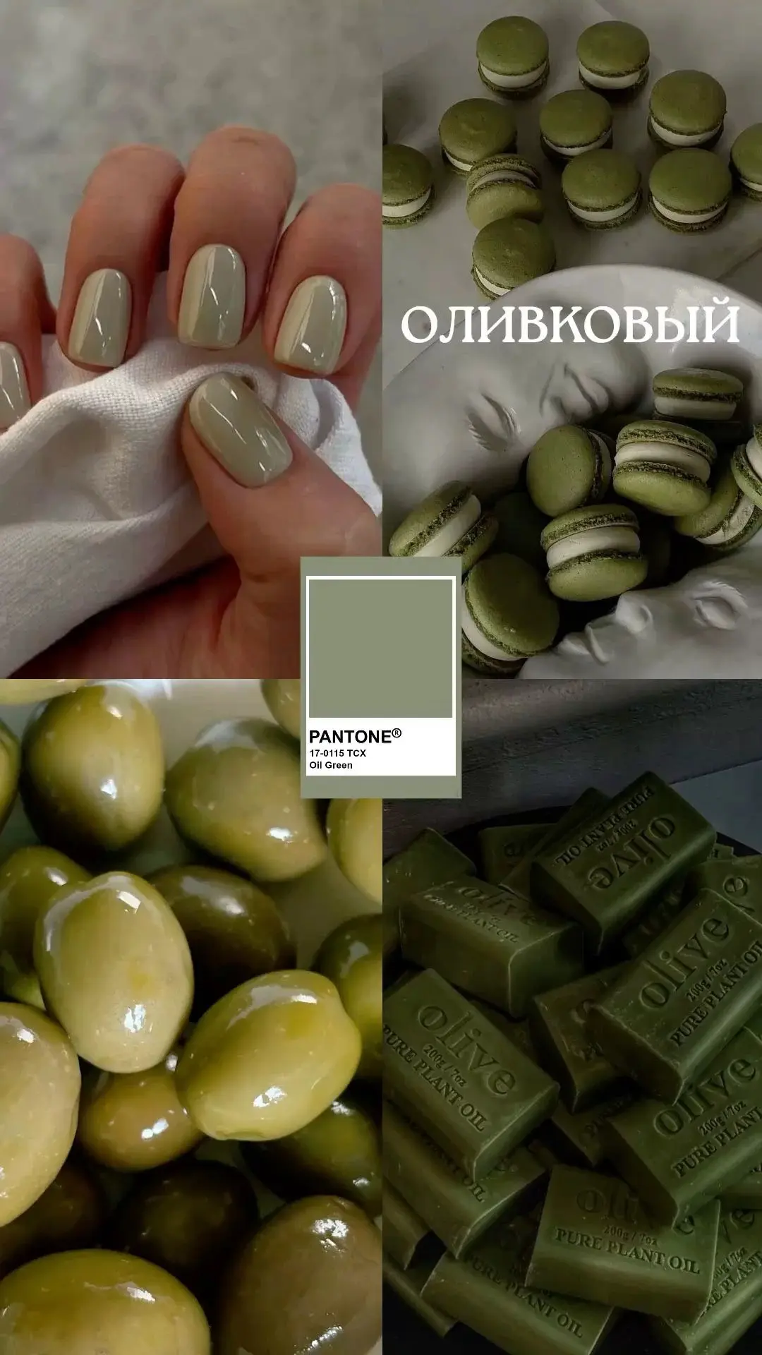 Оливковый маникюр 💅💚