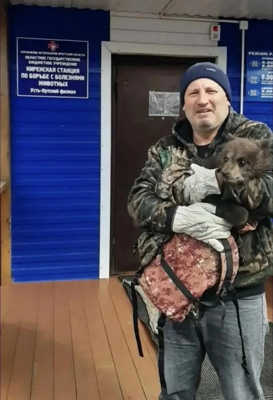 🐻 Медвежонок из Усть-Кута обрёл дом в Сибирском зоопарке.  О том, как напуганный малыш вышел к людям
