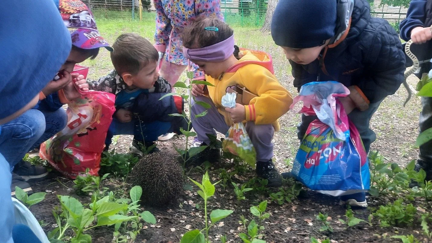 🦔Наблюдение за ежиком на прогулке в детском саду
Сегодняшняя прогулка в детском саду была особенной