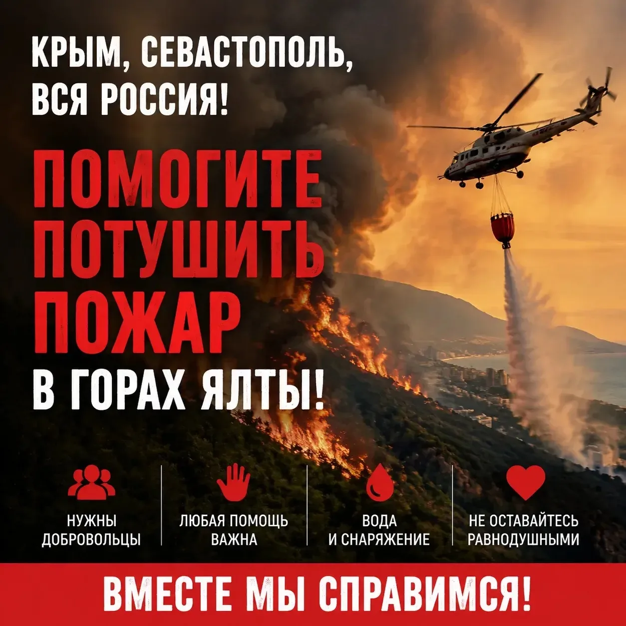СРОЧНО! Ялта, нам нужна помощь!