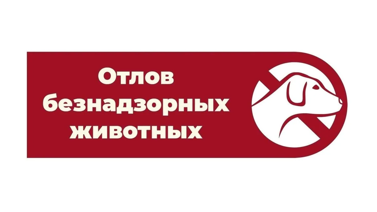 📢Сегодня 18.06.2026 года на территории города Мензелинска и района специализированной организацией 