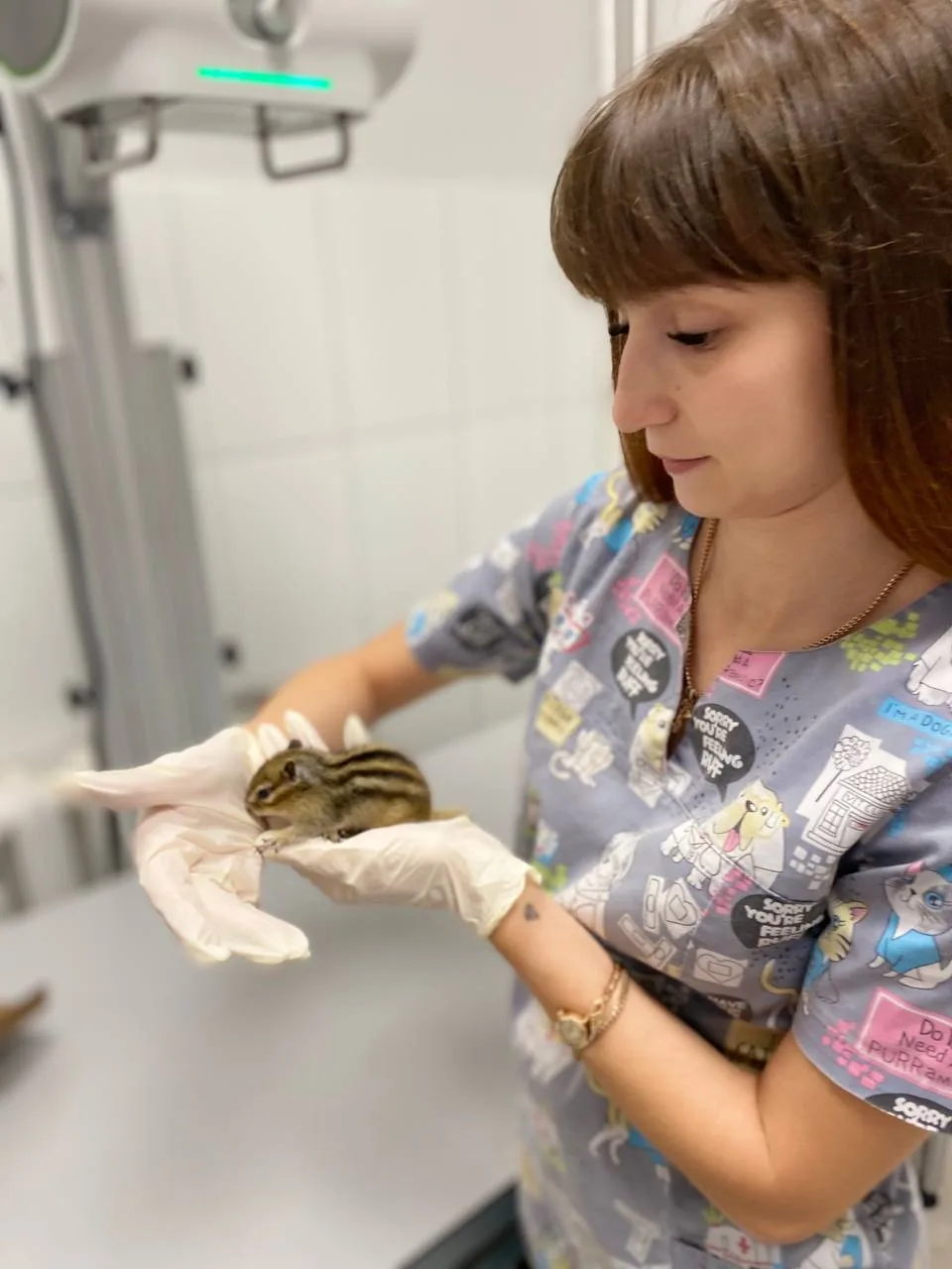 🐾 Думаете, в нашу клинику "Симсон" приходят только кошки и собаки? Совсем нет!