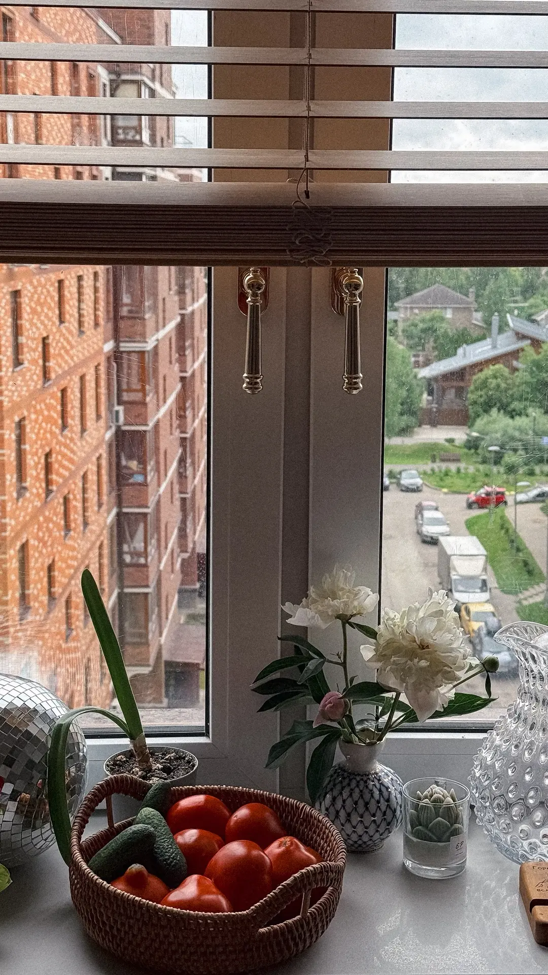 Если вам нужна причина для развода — это она 🤣