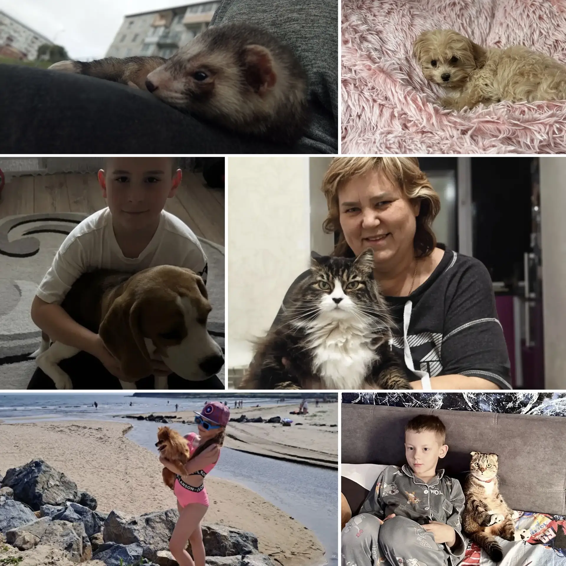 Продолжаем нашу добрую фотоакцию «Мой питомец»! 🐾