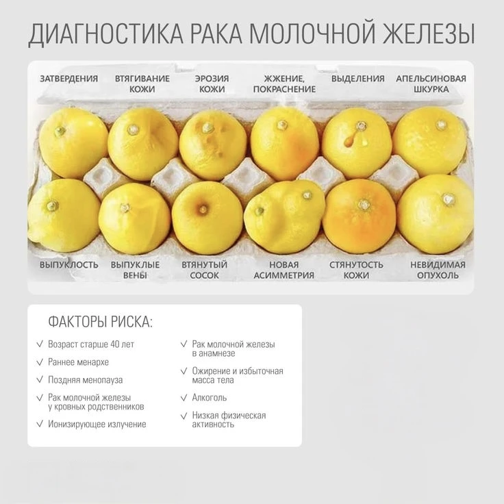 🔬 18 августа — Всемирный день исследования рака молочной груди
