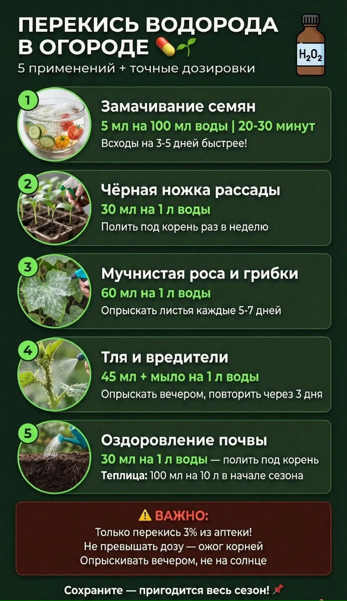Перекись водорода в огороде: аптечные секреты для растений 🧪

Обычная 3% перекись водорода творит ч