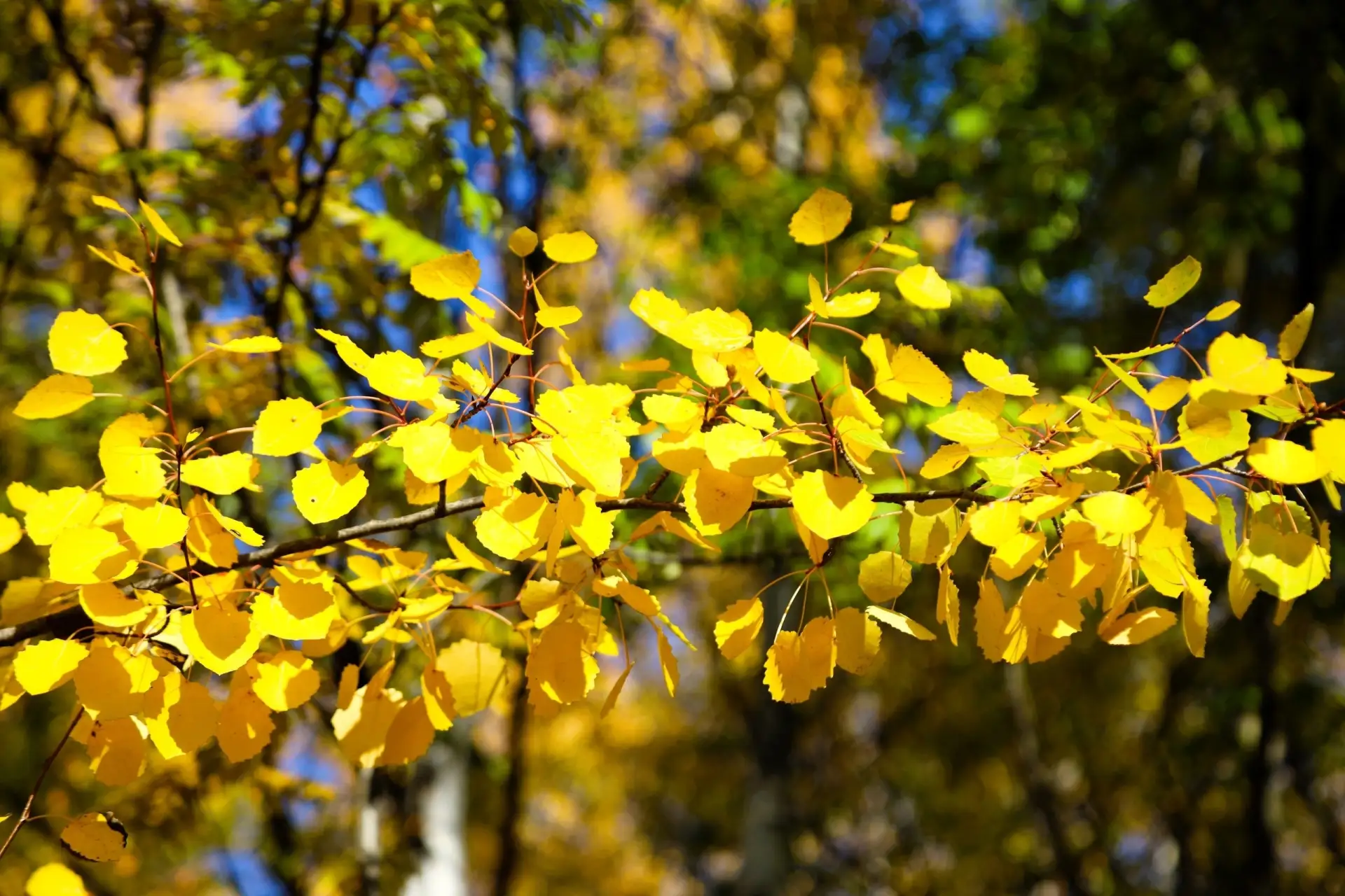 🍂 Осенний город 🍁😊