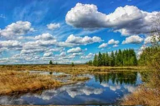 На Колыме - лето! По крайней мере, на фотографиях Геннадия Григорьева из рубрики лучших работ недели