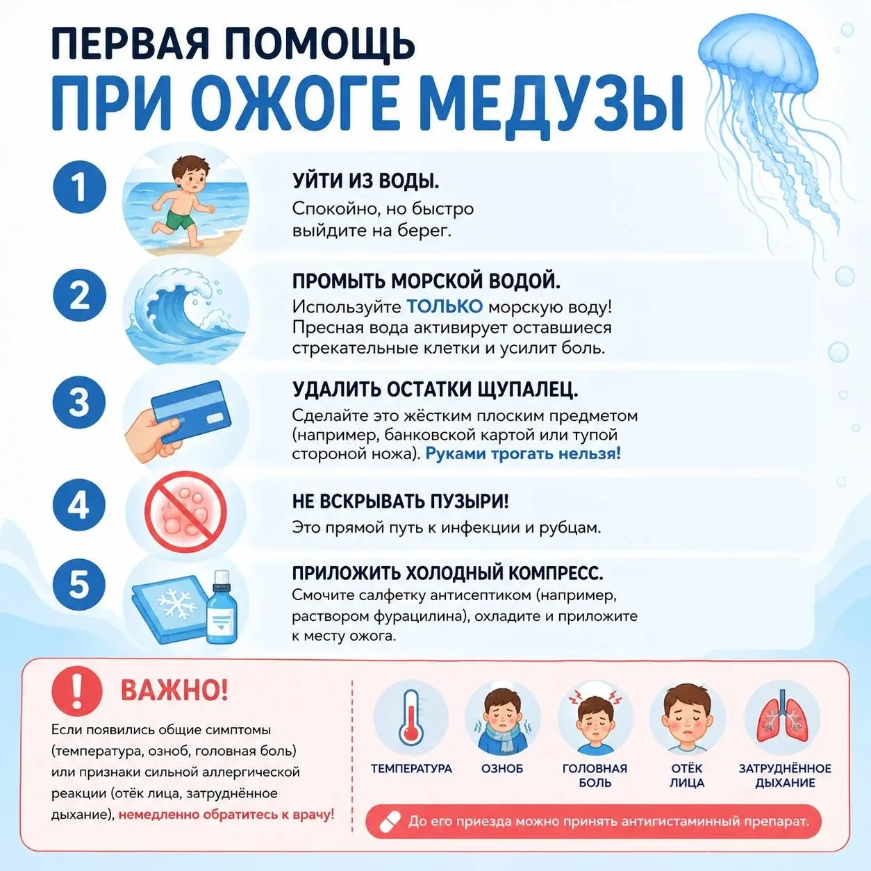 Отдых на море: что делать, если вас или ребёнка обожгла медуза?