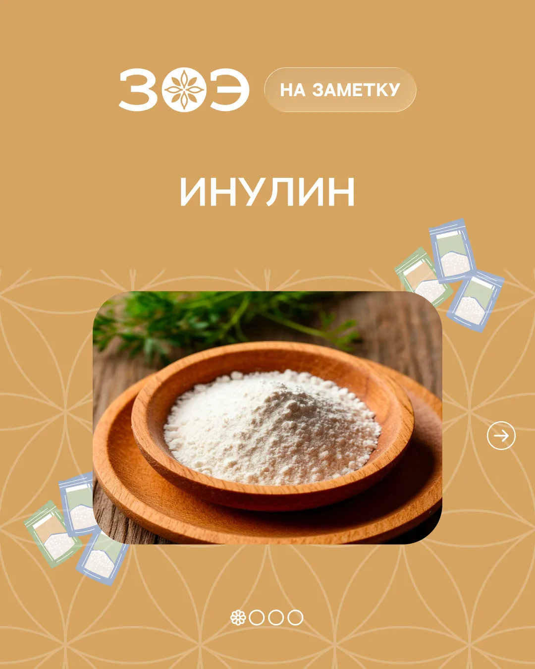 🌱Инулин в пробиотической композиции ЗОЭ (ZOE)