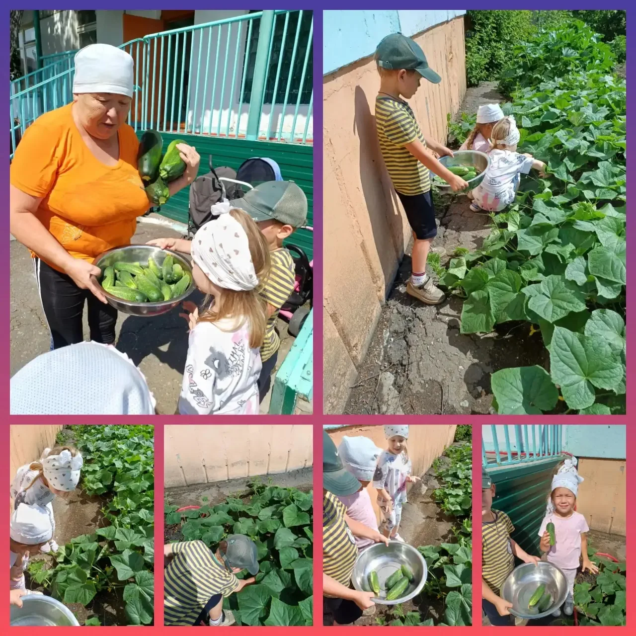 Маленькие огородники: собираем первый урожай! 🥒✨
Лето в самом разгаре, а на наших грядках вовсю кип