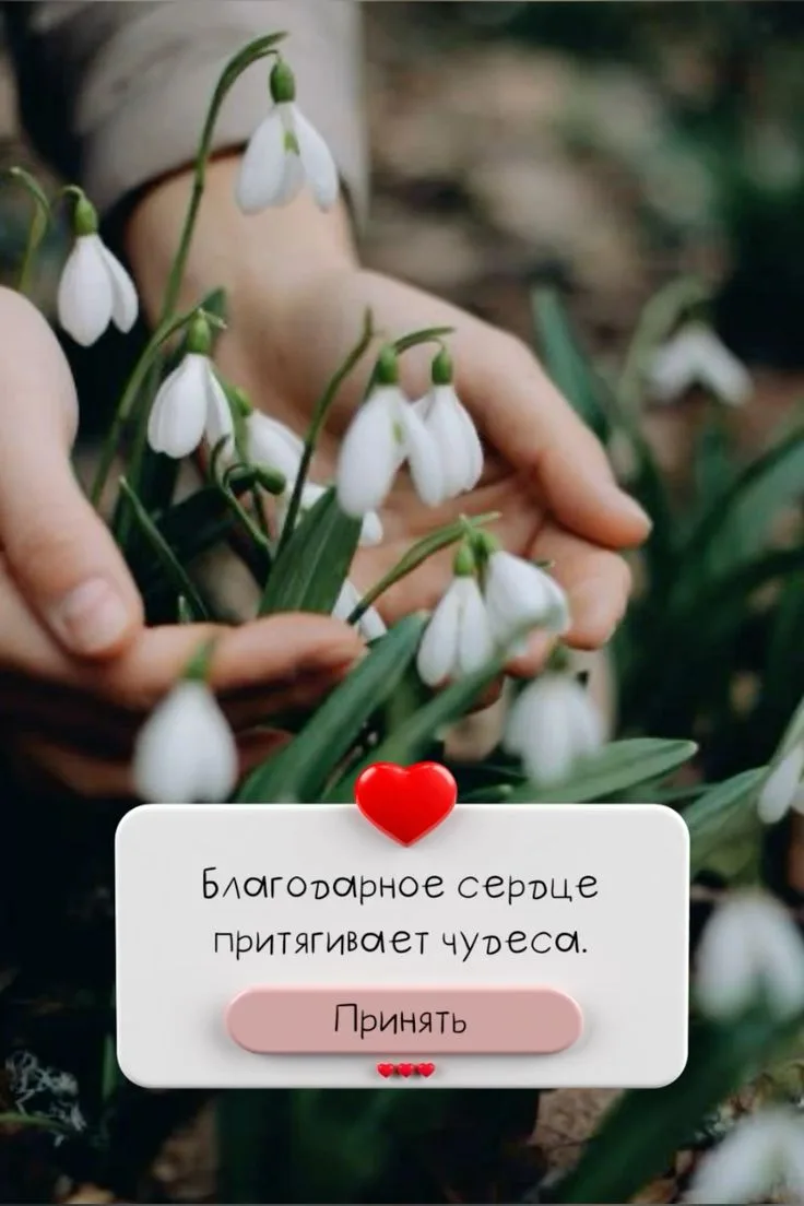 ✨ Благодарность как тайная практика изобилия