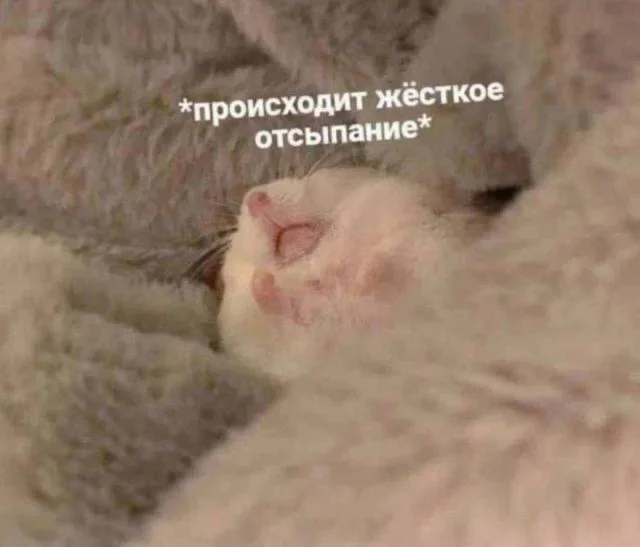 💫 Доброе утро, друзья!