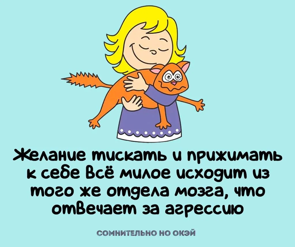 Признавайтесь, знали?
❤️ - знал
🤯 - удивлен

🖐Сомнительно, но окэй