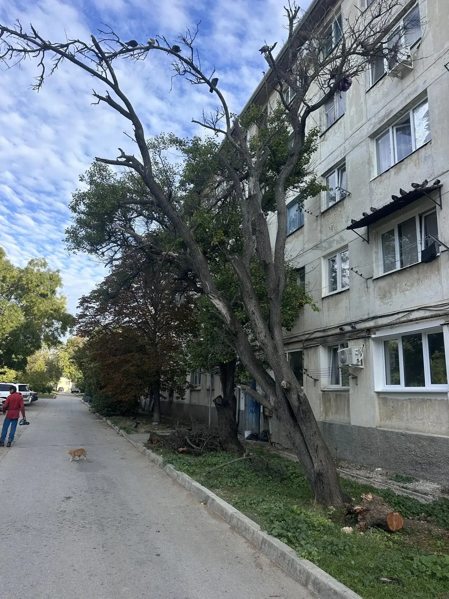 Уважаемые жильцы!                                                                      ...