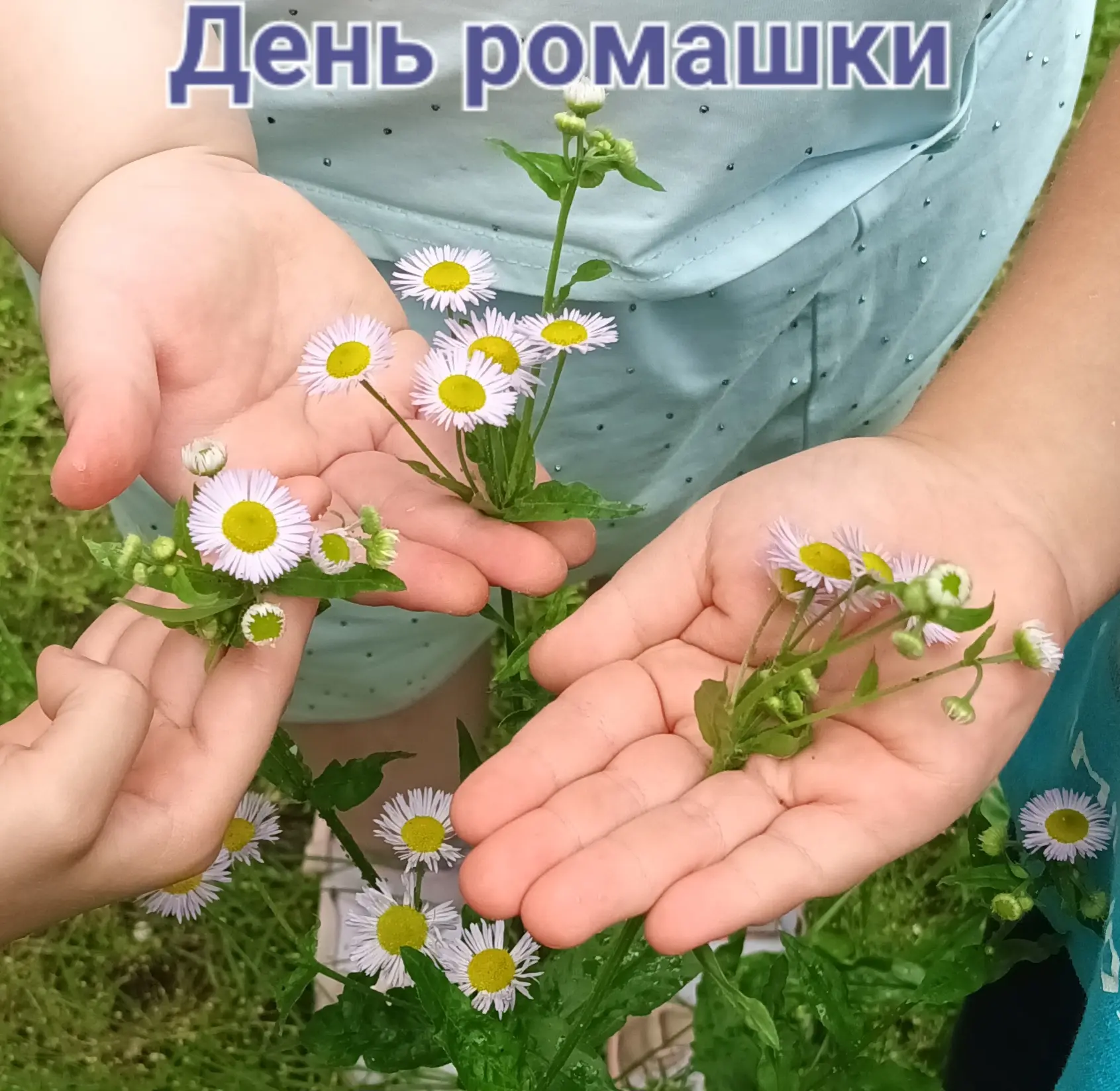 🌼 День ромашек☀️
В разновозрастной группе «Непоседы». Прошло тематическое занятие, посвящённое Дню 