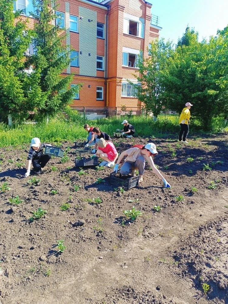 Труд в радость! Десант 5Б на пришкольном участке 🍃Теплая погода и заботливые руки — вот главные инг
