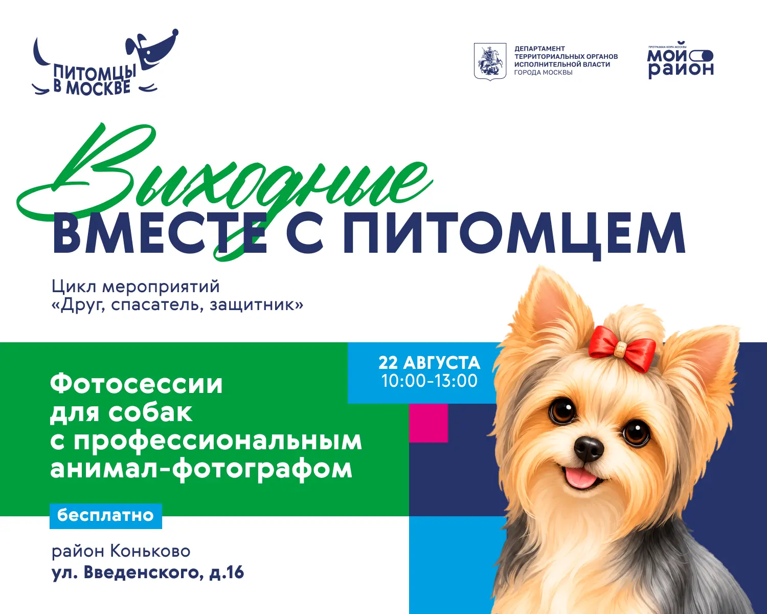 📸 Фотосессия для собак в районе Коньково 🐕