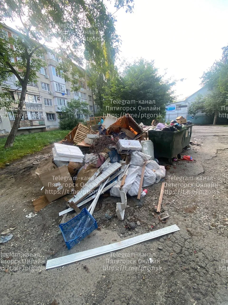 💬Добрый день, хочу обратиться ТКО и кто ответственное лицо за чистоту нашего города, очень хочется 