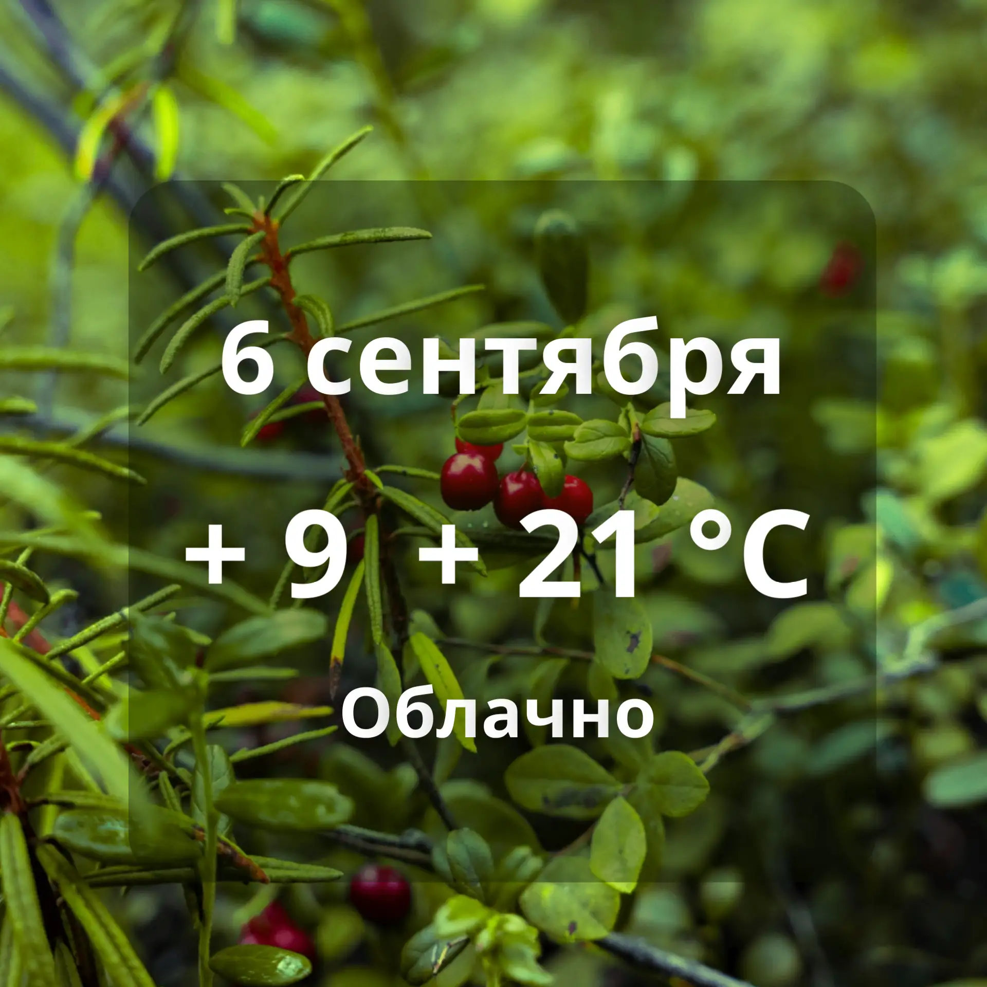 🌦️ Погода на сегодня в Аксарке