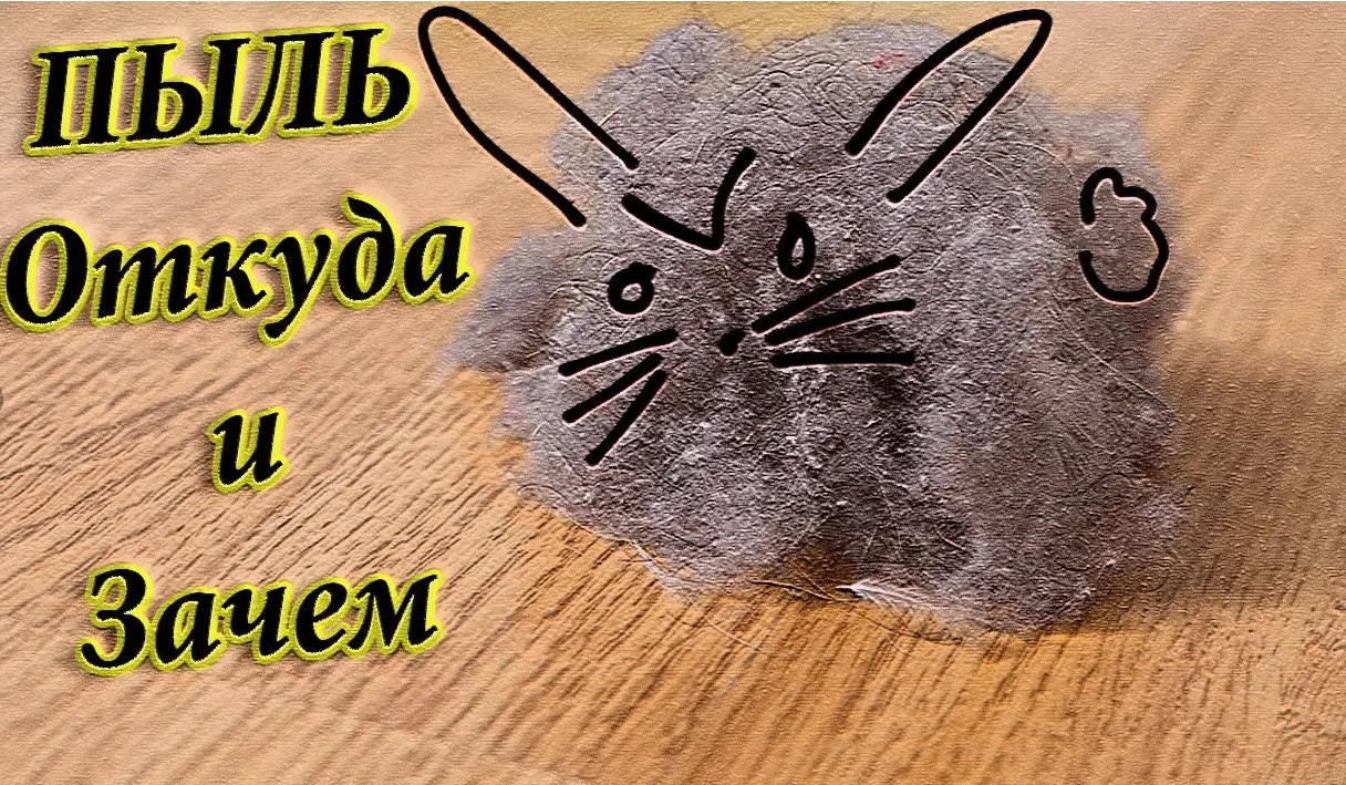 🌫 Бытовая пыль: из чего состоит и как с ней бороться?
Думаете, пыль — это просто «серые комочки»? Н