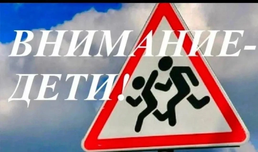 В Петровском округе  стартовало профилактическое мероприятие «Внимание-дети!»