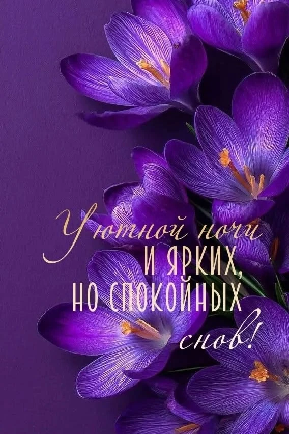 https://max.ru/invista123456