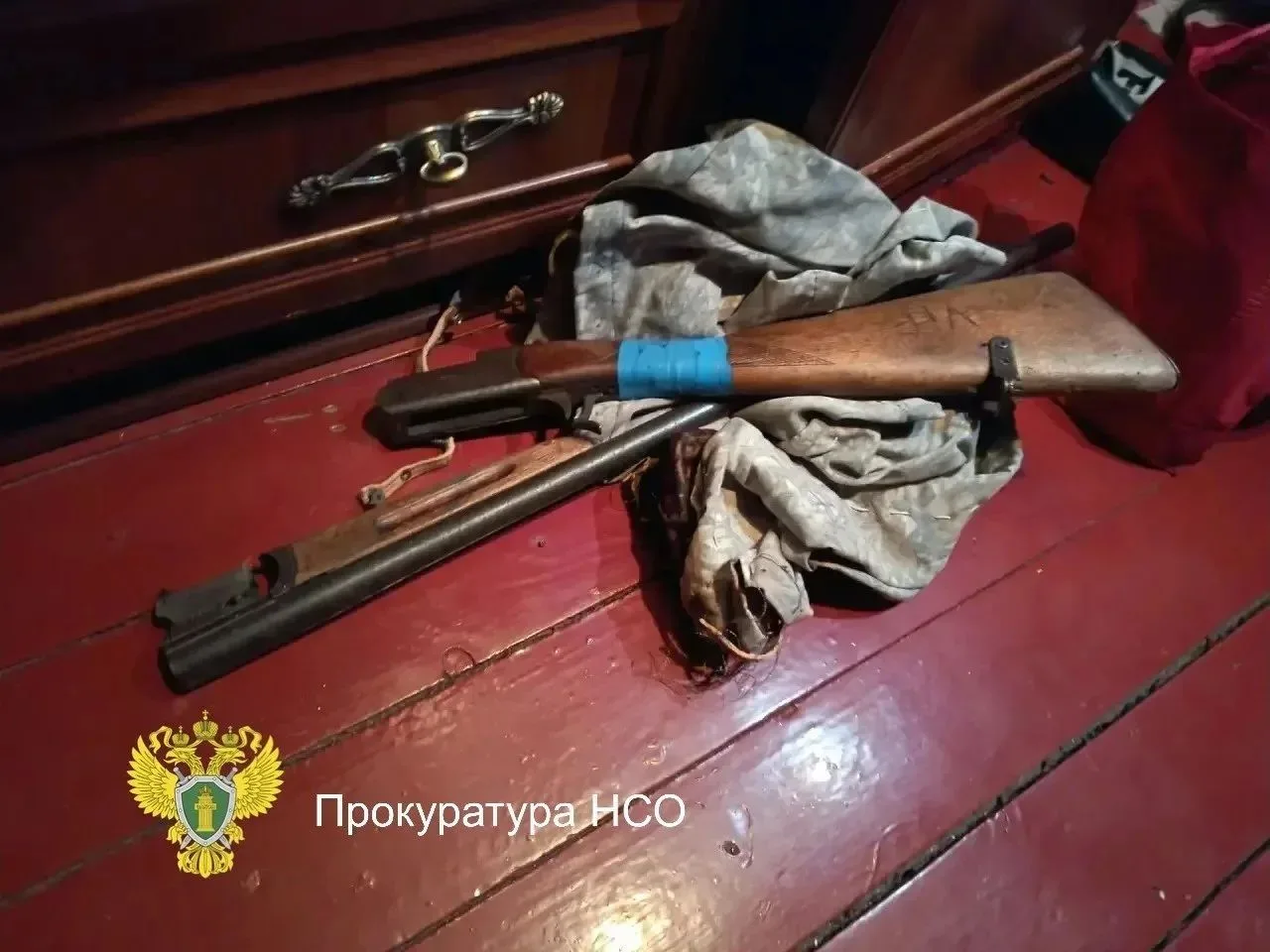 ⚡В  НСО браконьер ответит за убийство двух беременных лосих