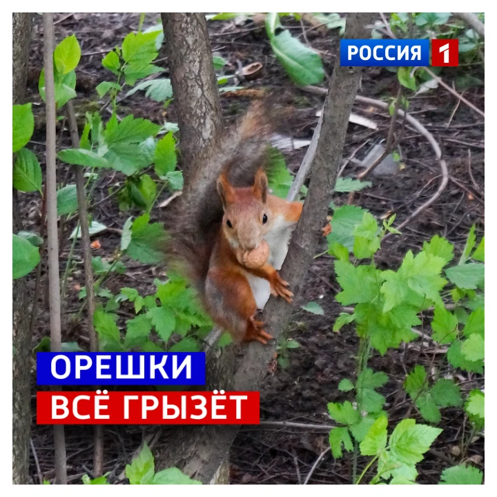 🗓️ 29 августа, суббота