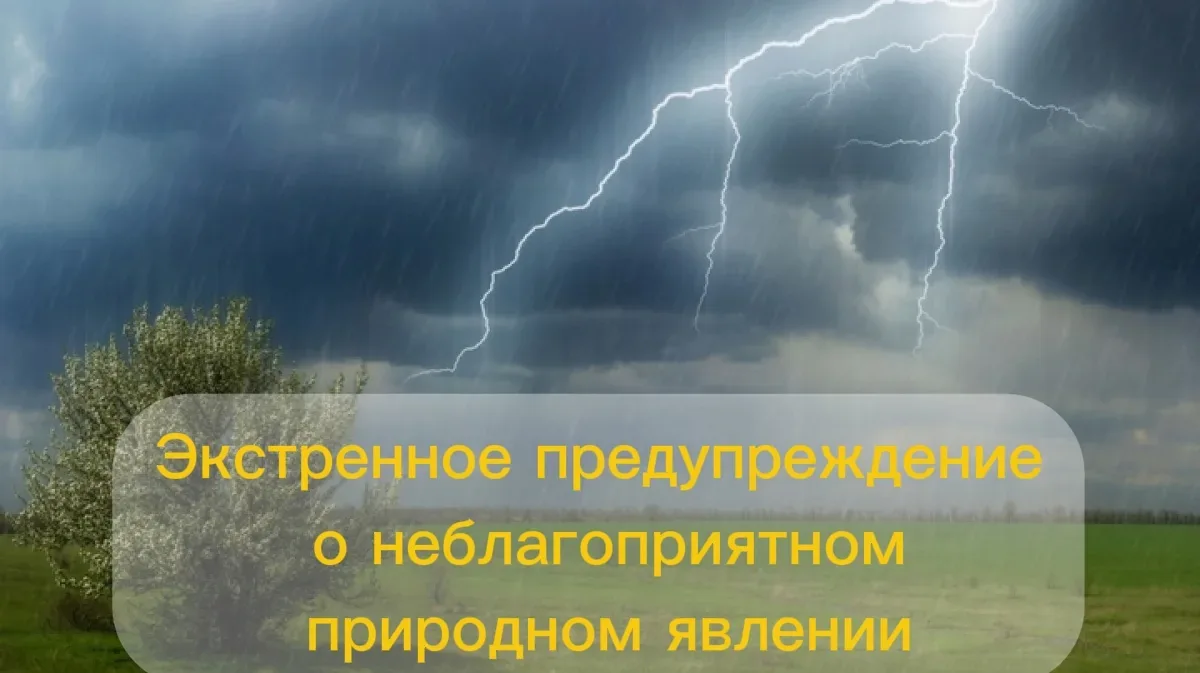 ⚡ ЭКСТРЕННОЕ ПРЕДУПРЕЖДЕНИЕ