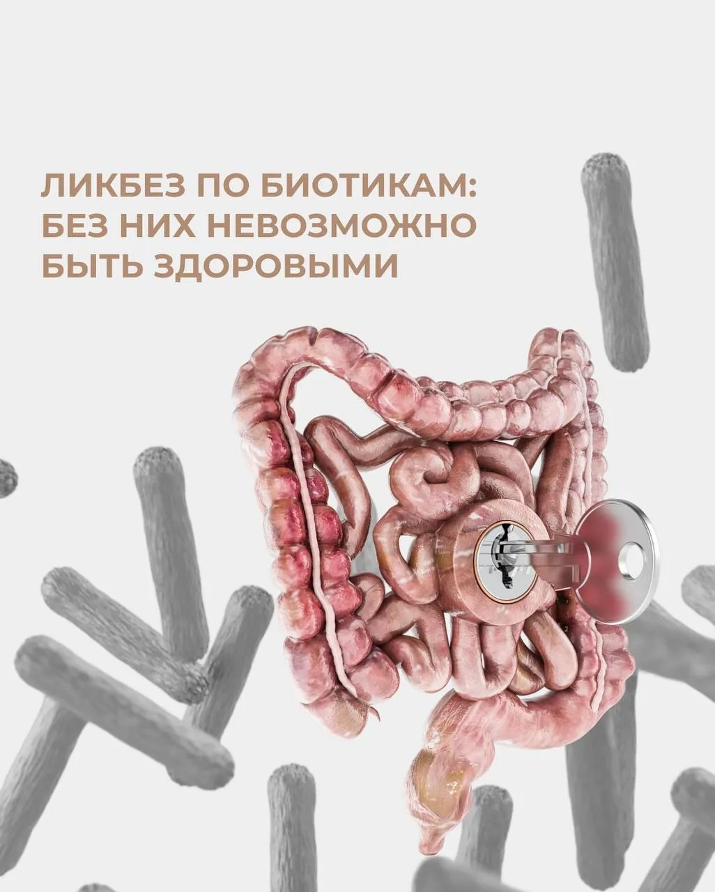 ТЕПЕРЬ ВЫ ТОЧНО РАЗБЕРЕТЕСЬ ВО ВСЕХ ЭТИХ БИОТИКАХ!  В кишечнике человека огромное количество различн