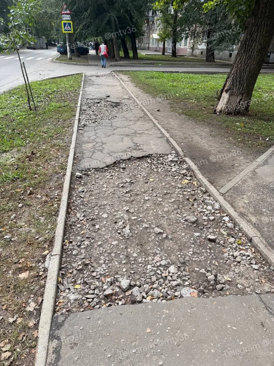 🤬 «По вечерам Бульвар Шевченко превращается то ли в минное поле, то ли в полосу… — публикация канала «Воронеж»
