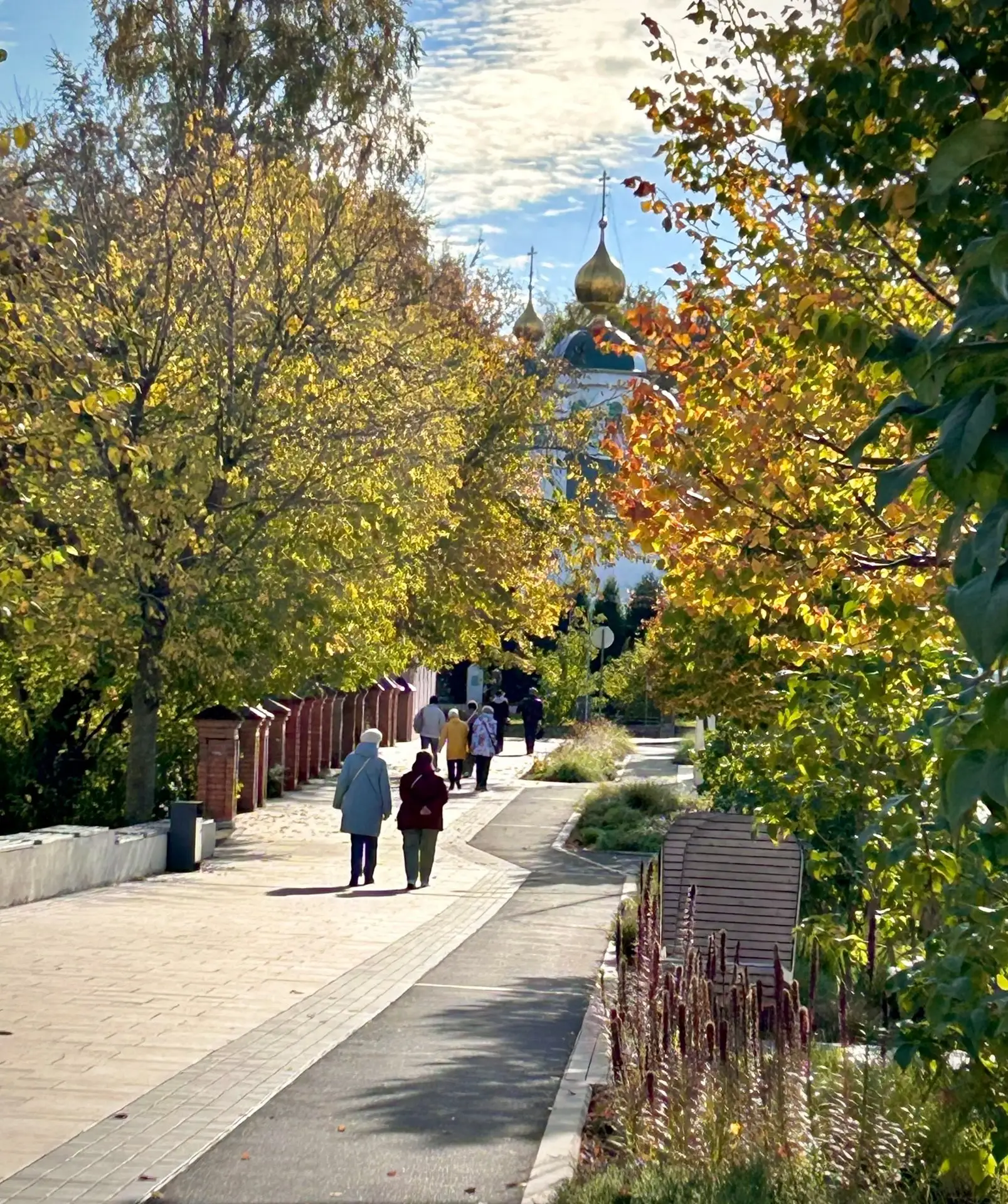Осень в Череповце.