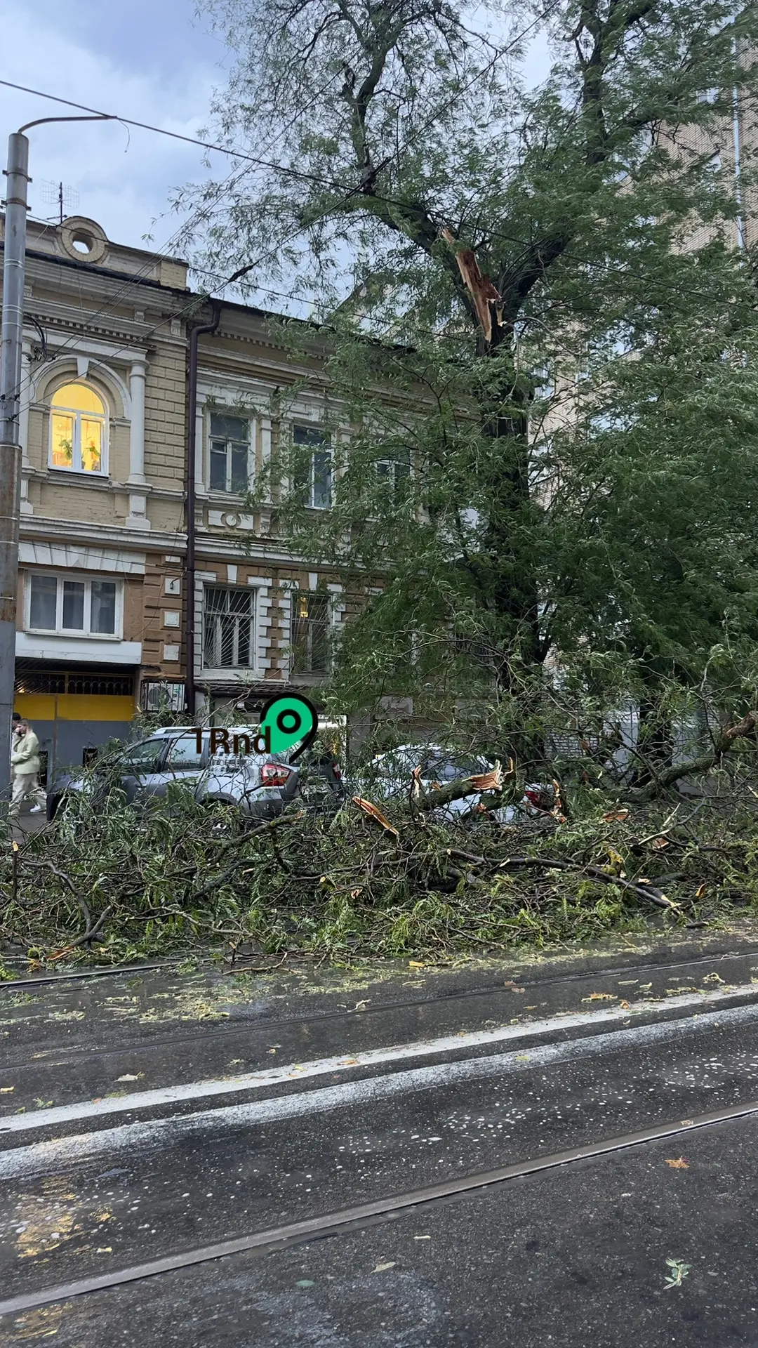 На Горького/Чехова упало дерево на припаркованные автомобили🥲