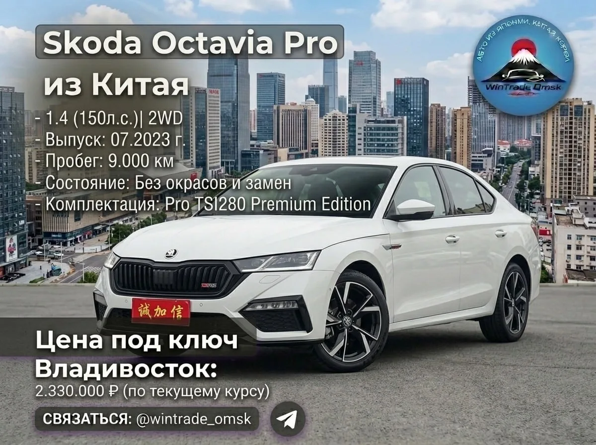 🇨🇳 Skoda Octavia Pro  из Китая