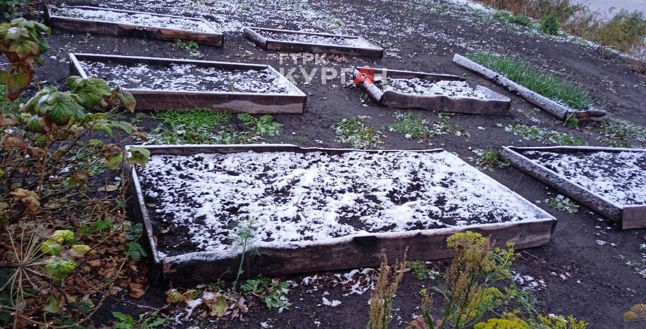❄️ Курганцы делятся фотографиями первого снега