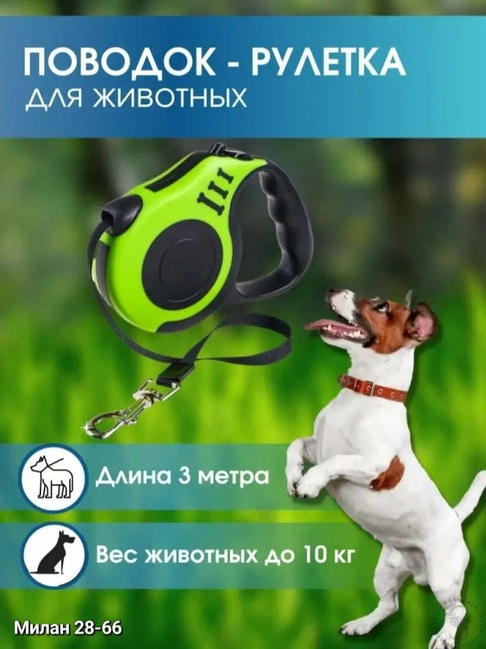 https://vk.com/photo-184814919_493580632