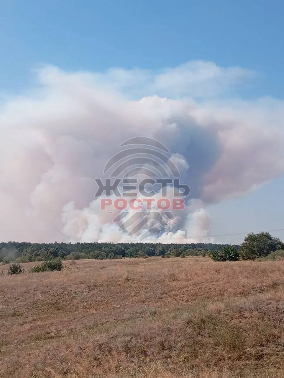 ⚡️В Цимлянском районе тушат крупный лесной пожар