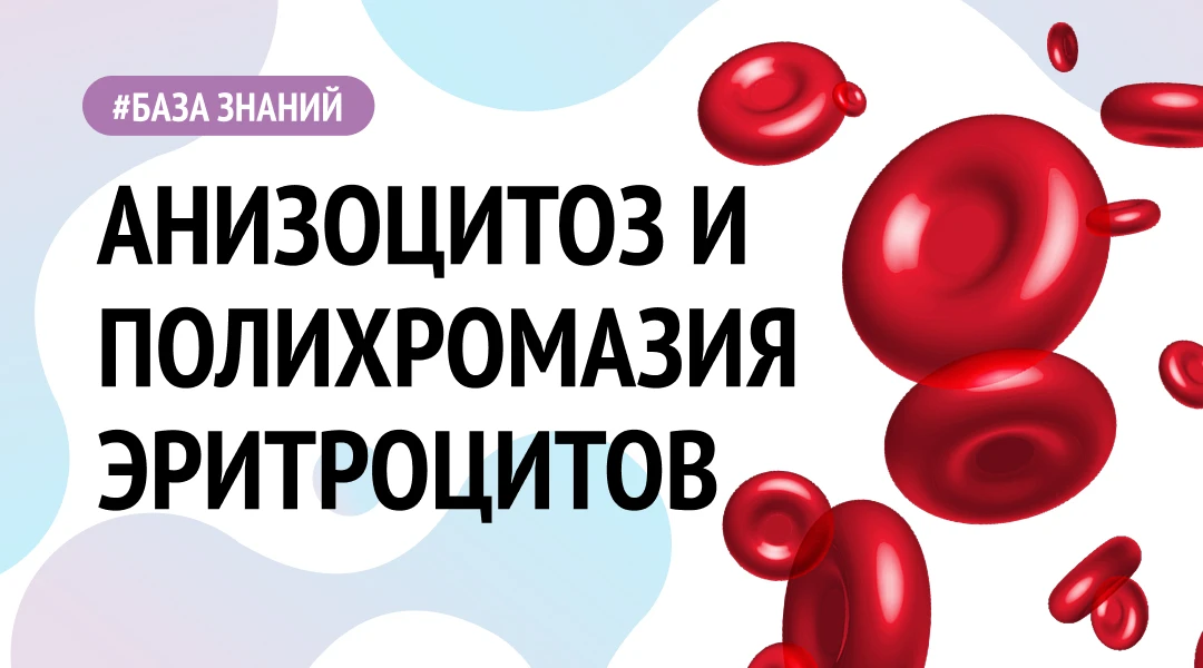 АНИЗОЦИТОЗ И ПОЛИХРОМАЗИЯ ЭРИТРОЦИТОВ

➡️ Анизоцитоз — это вариабельность размеров эритроцитов в маз