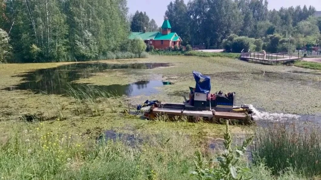 🌳 Пруд Южный расчистили от камыша и водорослей

На водоёме скосили траву, убрали лишние побеги у ив