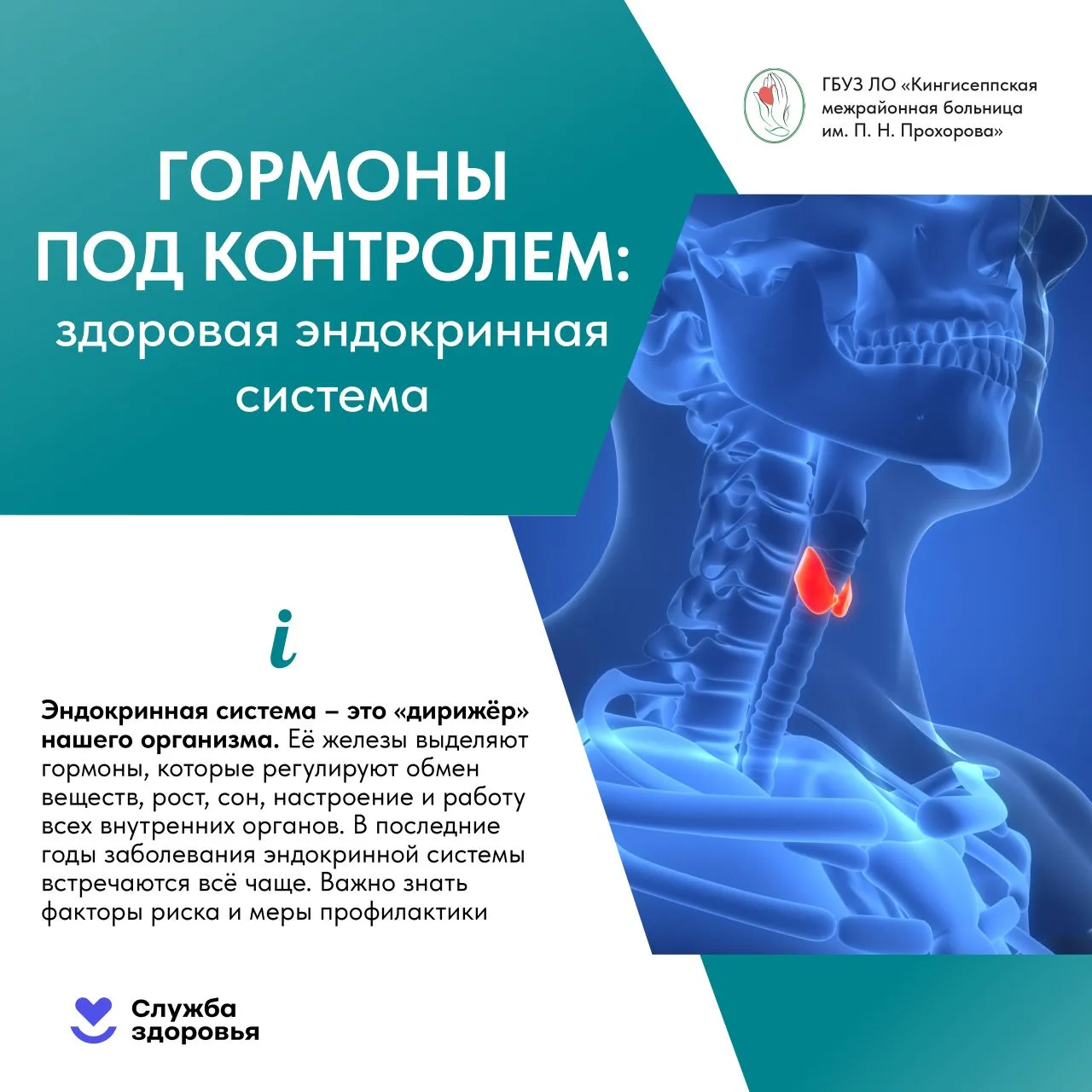 📌 Что может привести к эндокринным нарушениям?